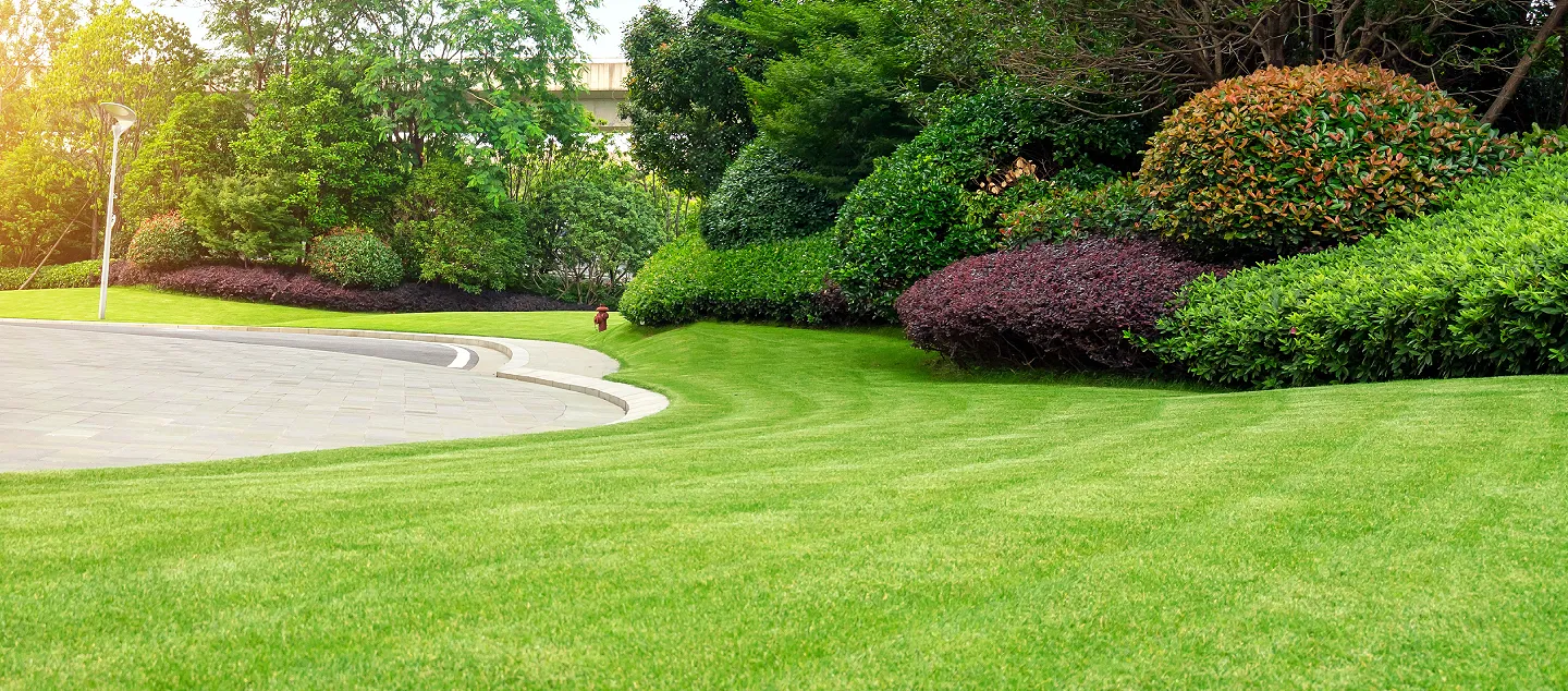 Expertly trimmed bushes in a variety of colors at a sprawling office park.